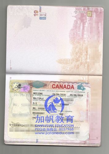 探望在美留学的孩子需要办理什么签证 加拿大签证怎么办理